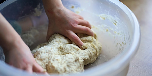 Le mani in pasta: dal chicco al pane, un percorso tutto biologico!