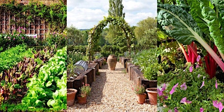 Organic Spring & Summer Vegetable Garden