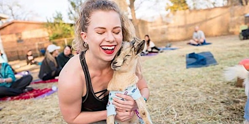 Hauptbild für Goat Yoga Fort Worth!