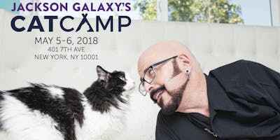 event in New York City: Jackson Galaxy's Cat Camp