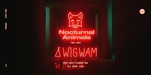 Nocturnal Animals at Wigwam