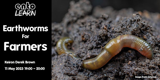 Imagen principal de Earthworms For Farmers