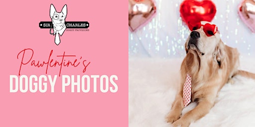 Pawlentine's Doggy Photo Sessions