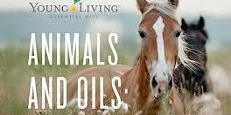 Animals and Oils: What You Need to Know primary image