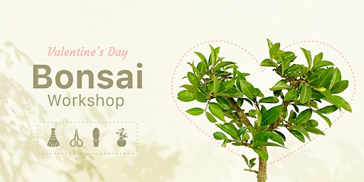Valentines Day Bonsai Workshop, 1/12