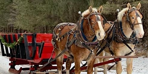 Feb 11th Wedges Creek Valentines Sleigh Ride/Pizza Event