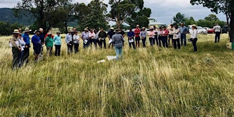 Plants in our Pastures - Native Vegetation ID Field Days primary image