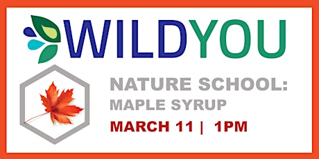 Nature School: Maple Syrup