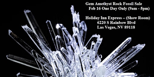 Gem Amethyst Rock Fossil Sale Feb 16 One Day Only (9am - 5pm) - (Las Vegas,