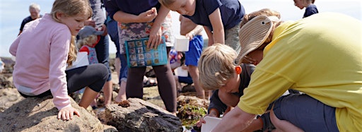 Collection image for Easter Events at Wembury Marine Centre