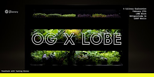 Our Greenery presents: Now for tomorrow #1 at LOBE Block