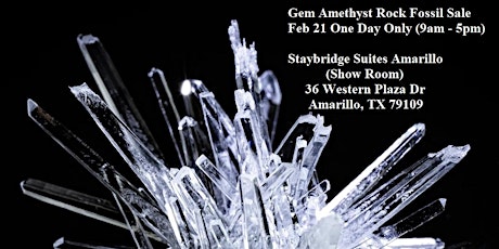 Gem Amethyst Rock Fossil Sale Feb 21 One Day Only (9am - 5pm) - (Amarillo,