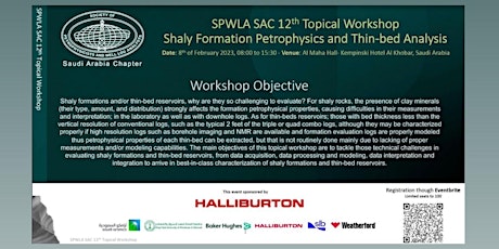Shaly Formation Petrophysics and Thin-Bed Analysis