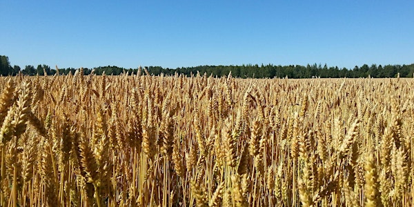 Conférence - discussion sur l'enjeu des PFAS dans le milieu agricole