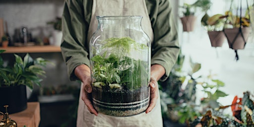 Terrarium Masterclass for Two - Valentines Day Special