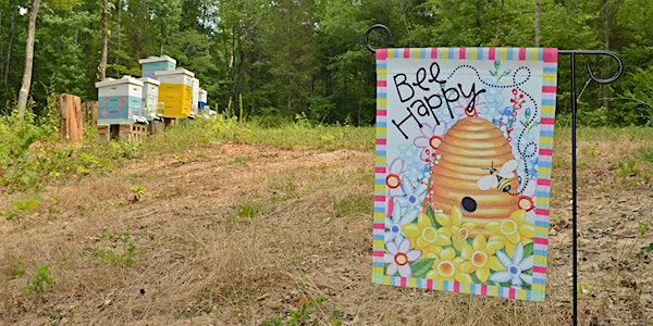 Bees and Shrooms