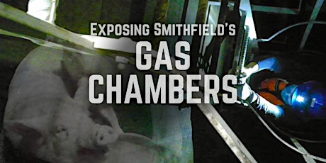 Meetup: Exposing Smithfield's Gas Chambers