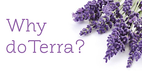 How does it look to earn an income with doTERRA? primary image