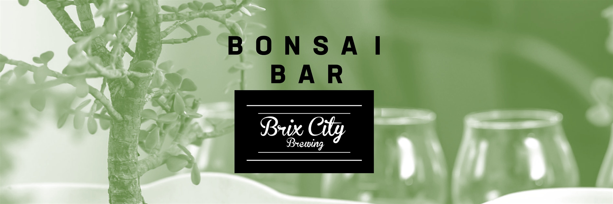 Bonsai Bar @ Brix City Brewing