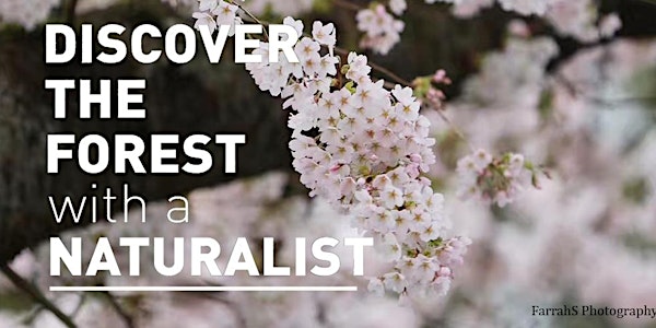 Discover the forest with a naturalist(The Third session)