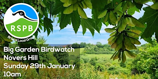 Big Garden Birdwatch @ Novers Hill