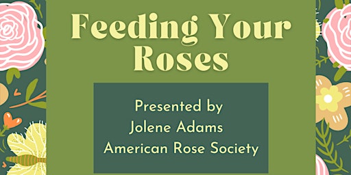 Feeding Your Roses