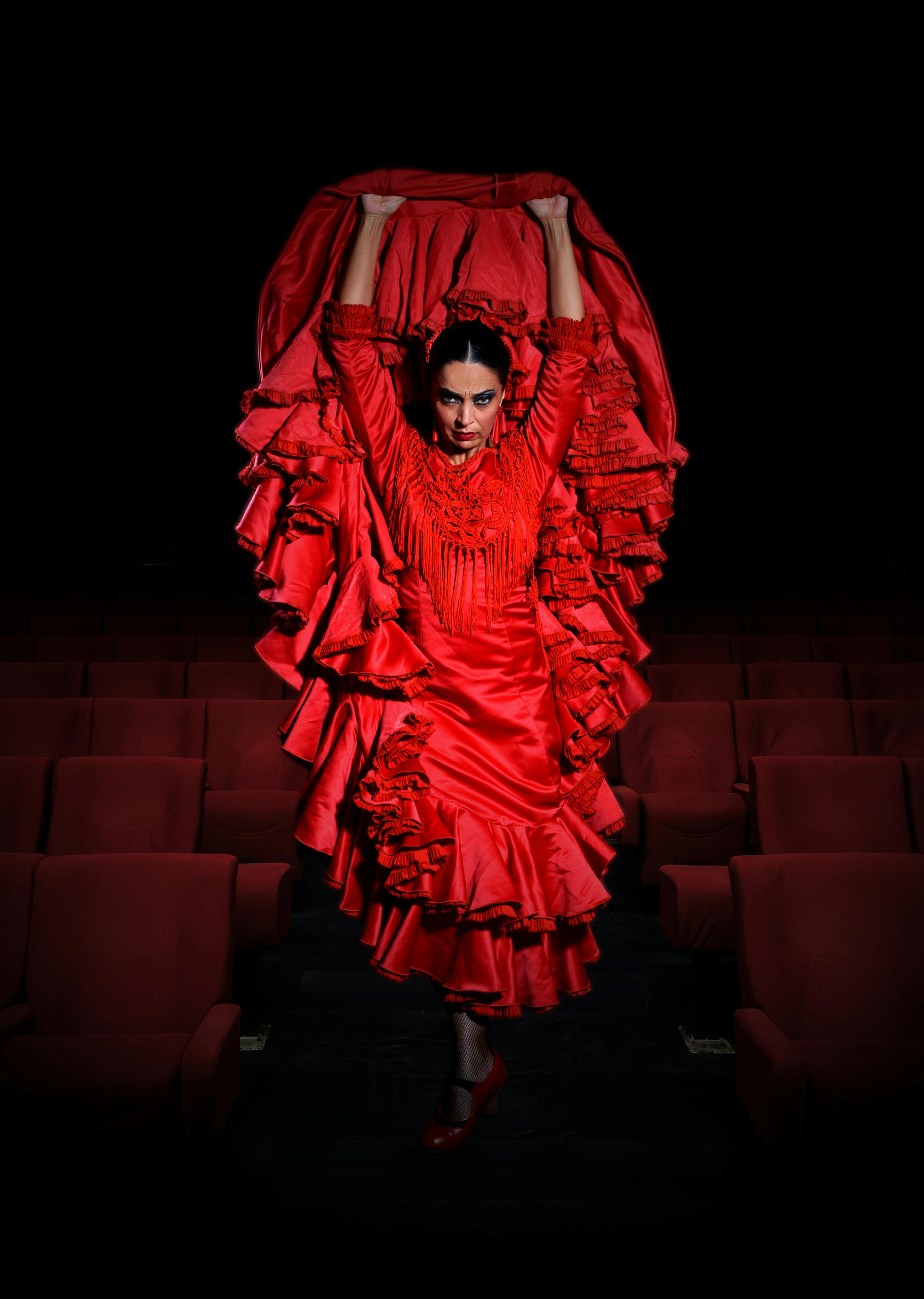 Teatro Flamenco Madrid-Espectáculo Emociones