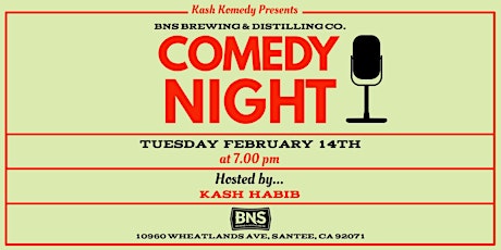 Comedy Night at BNS Brewing