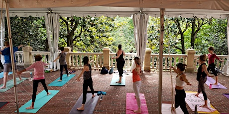 Yoga on the Magnolia Terrace