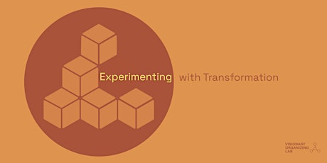 BBVO Series: Experimenting with Transformation
