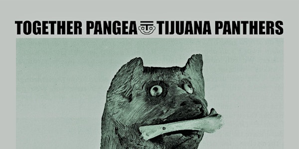 Tijuana Panthers x together PANGEA