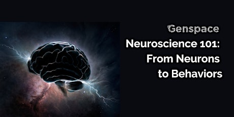 Neuroscience 101: From Neurons to Behavior