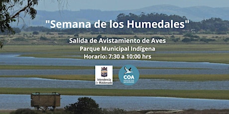 SEMANA DE LOS HUMEDALES. Avistamiento de Aves, Parque Municipal Indígena.