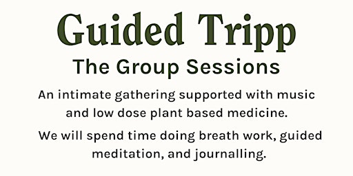 Guided Tripp Group Session