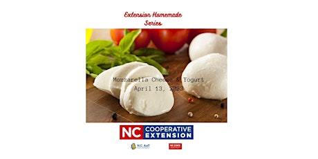 Easy Mozzarella Cheese and Yogurt - Homemade Series 2 of 10