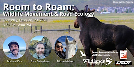 Room to Roam: Wildlife Movement and Road Ecology