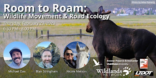 Room to Roam: Wildlife Movement and Road Ecology primary image