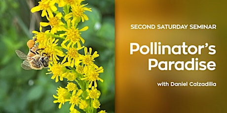 Second Saturday Seminar: Pollinator's Paradise