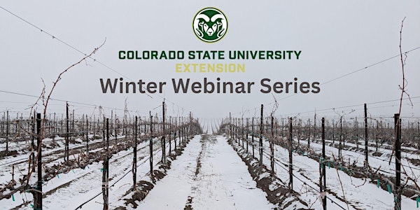 Colorado Viticulture Winter webinar series - Irrigation modernization