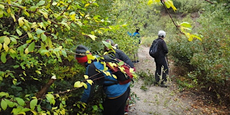 Trail Maintenance on the Cartwright Ridge Trail primary image