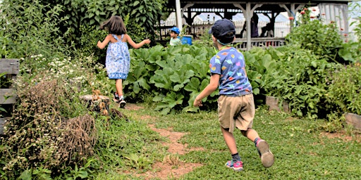 Summer Children's Garden primary image