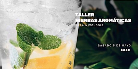 Imagen principal de Taller hierbas aromáticas para mixología