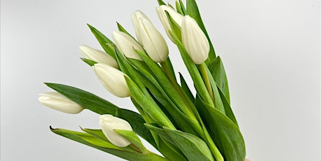 Flower Focus: Tulips