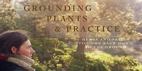 Grounding Plants & Practice
