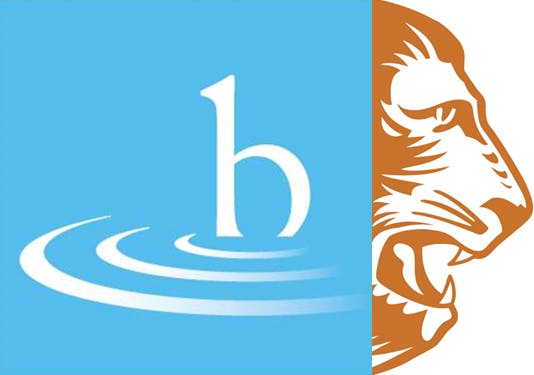 BRANFORD LIONS CLUB & BRIAN'S HOPE GOLF TOURNAMENT 2018