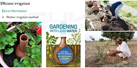 Learn Xeriscaping: Water-Efficient Landscaping and Gardening