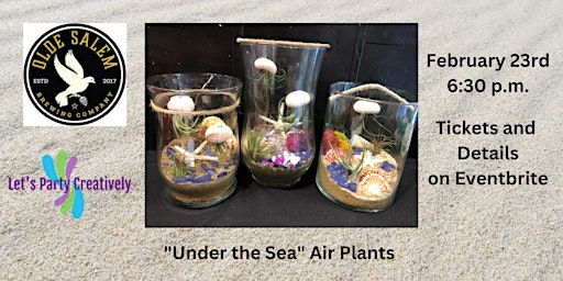 "Under the Sea" Air Plant Terrarium