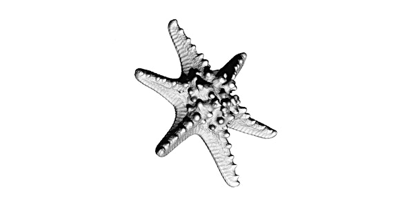 Zooetics+ Symposium