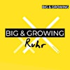 BIG & GROWING Ruhr - Christian Schulz's Logo