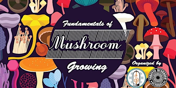 Fundamentals of Mushroom Growing
